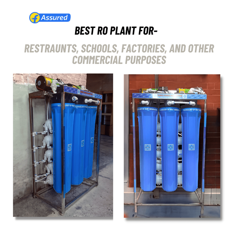 E.F.M Star 50 LX RO 50 LPH Water Purifier